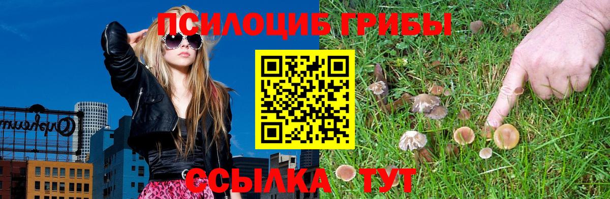 Псилоцибиновые грибы ЛСД Краснознаменск